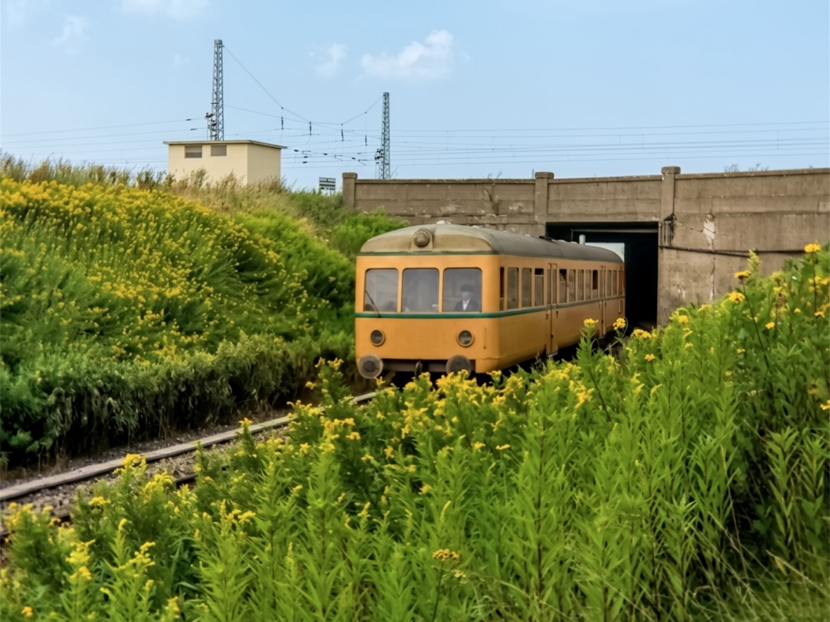 1974_0088n