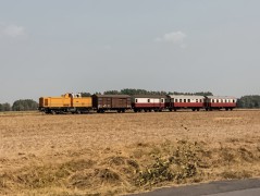 1975_0077n